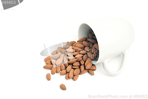 Image of hazelnuts spilt from cup