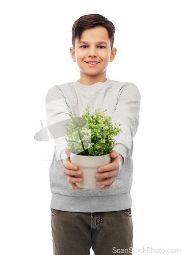 Image of happy smiling boy holding flower in pot