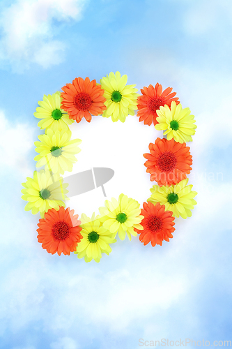 Image of Chrysanthemum Flower Abstract Background Border