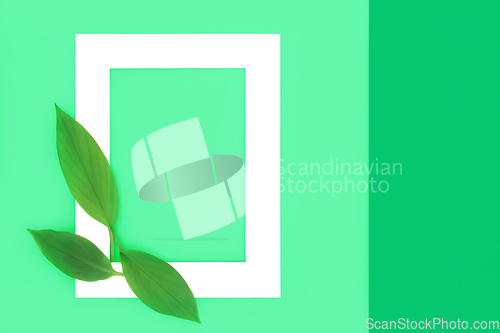Image of Turmeric Leaf Eco Friendly Background Border Design 