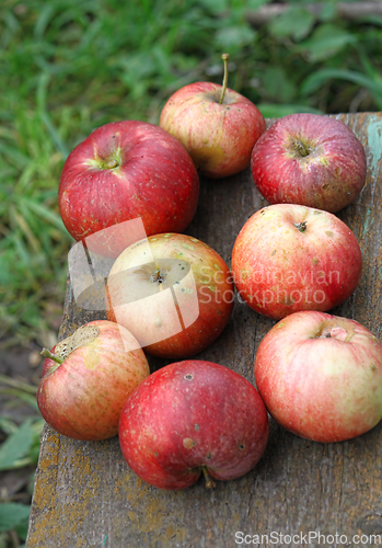 Image of Bright ripe apples 