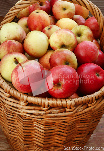 Image of Bright tasty ripe apples in a basket