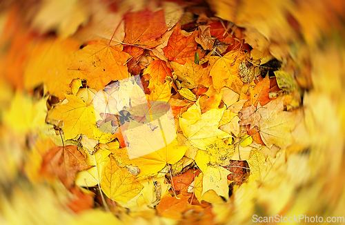 Image of Abstract blur bright autumn background