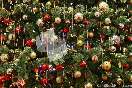Image of Beautiful bright shine decoration on Christmas tree