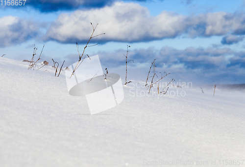 Image of Snow in winter