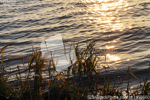 Image of sunset, close-up