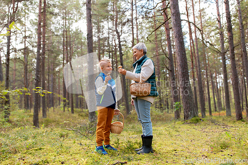 Image of grandmother and grandson with mushrooms in forest