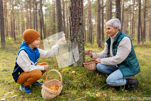 Image of grandmother and grandson with mushrooms in forest