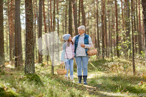 Image of grandmother and granddaughter picking mushrooms