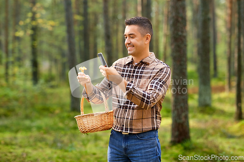 Image of man using smartphone to identify mushroom