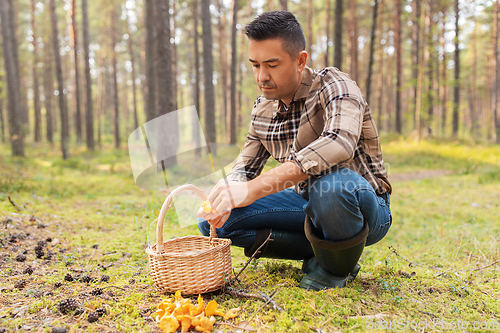 Image of happy man with basket picking mushrooms in forest