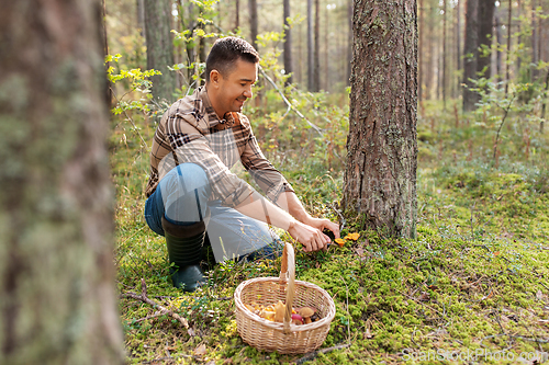 Image of happy man with basket picking mushrooms in forest