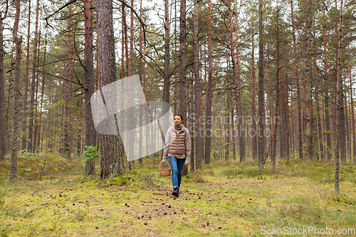 Image of young woman picking mushrooms in autumn forest