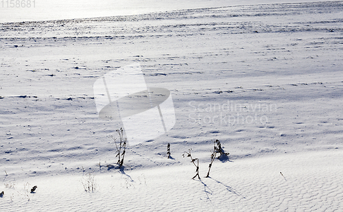 Image of Snow after snowfall