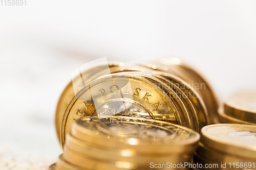 Image of Polish coins close up