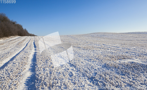 Image of Snow drifts in winter