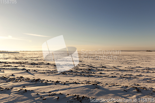 Image of landscape in winter