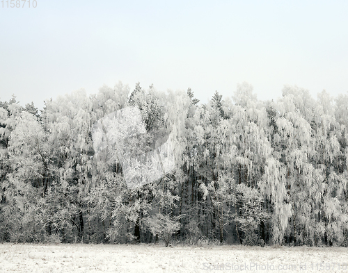 Image of Snow drifts in winter