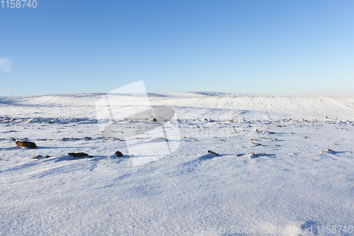 Image of After snowfall
