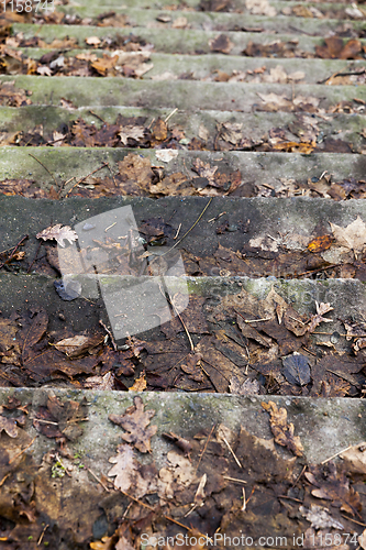 Image of The old steps, the autumn