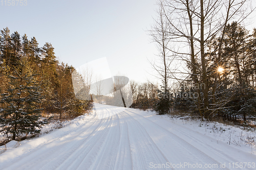 Image of snow-covered road in the forest