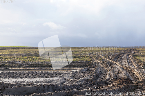 Image of Car tracks in the field