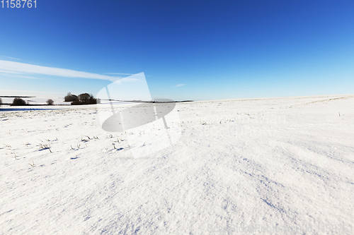 Image of rural field covered with snow