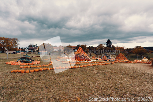 Image of pyramid from Autumn harvested pumpkins