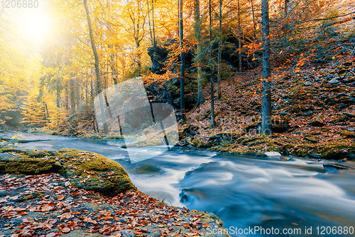 Image of wild river Doubrava, autumn landscape