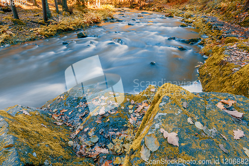 Image of wild river Doubrava, autumn landscape