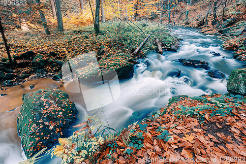 Image of wild river Doubrava, autumn landscape