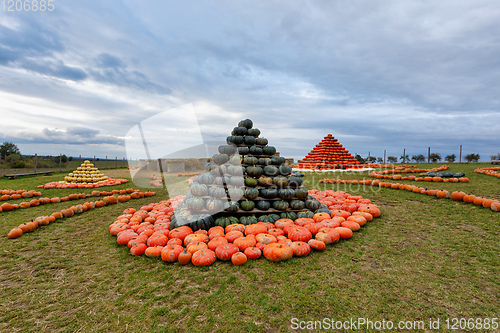 Image of pyramid from Autumn harvested pumpkins