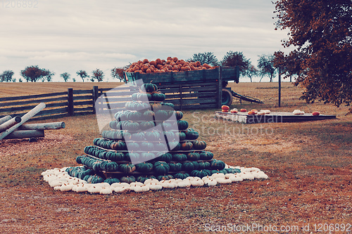 Image of pyramid from Autumn harvested pumpkins