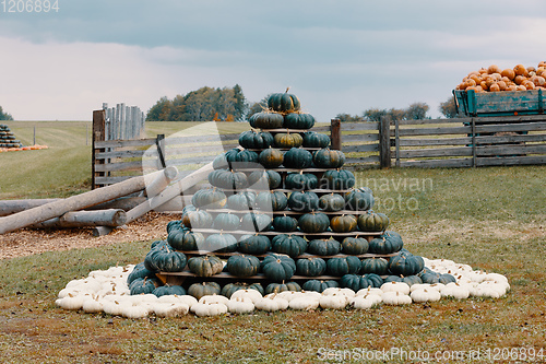 Image of pyramid from Autumn harvested pumpkins