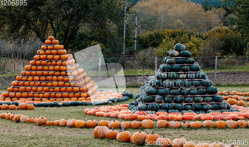 Image of pyramid from Autumn harvested pumpkins