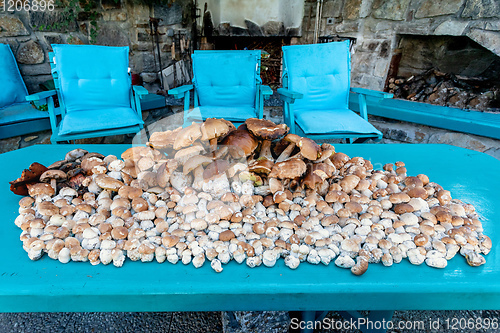 Image of collected mushrooms boletus in pile