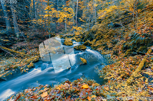 Image of wild river Doubrava, autumn landscape
