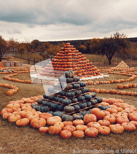 Image of pyramid from Autumn harvested pumpkins