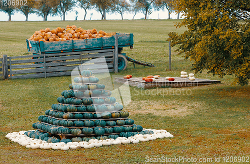 Image of pyramid from Autumn harvested pumpkins