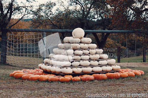 Image of pyramid from Autumn harvested pumpkins