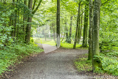 Image of idyllic park scenery