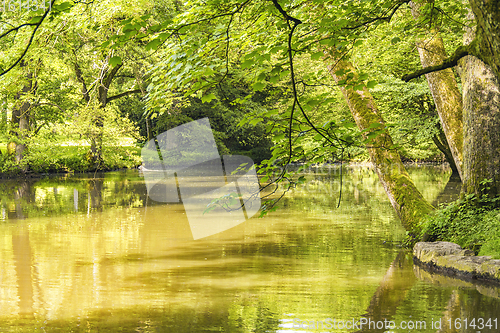 Image of idyllic park scenery