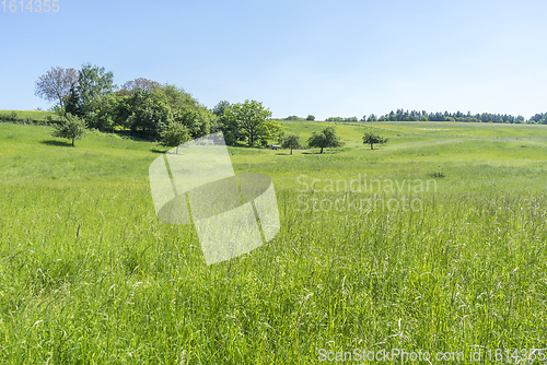 Image of idyllic spring time scenery