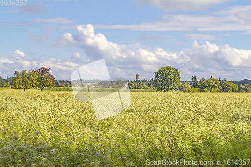 Image of rural scenery in Hohenlohe