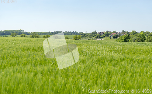 Image of rural springtime scenery