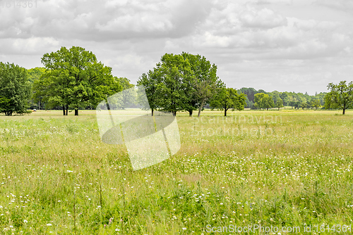 Image of rural scenery in Hohenlohe