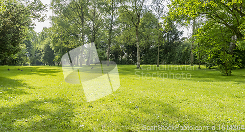 Image of idyllic park scenery