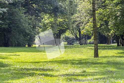 Image of idyllic park scenery