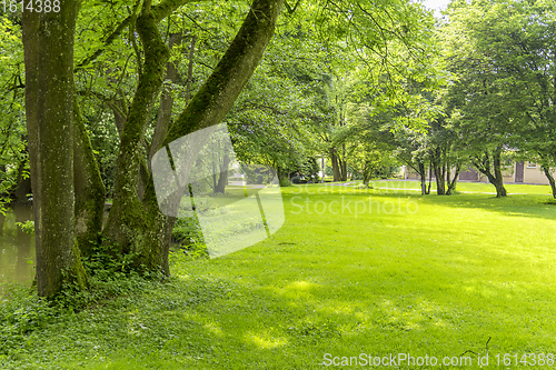 Image of idyllic park scenery