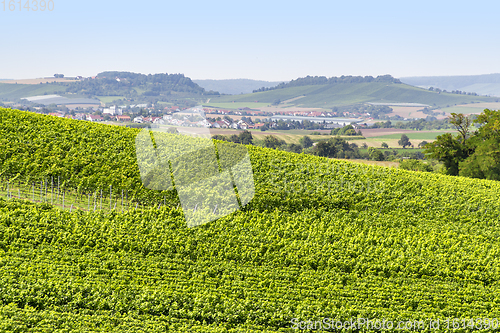 Image of winegrowing scenery in Hohenlohe